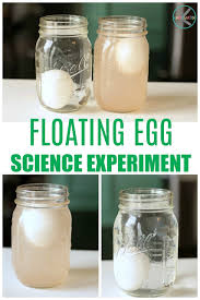 easy sink or float egg science experiment