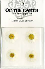 Get the best deals on dried flowers and find everything you'll need to make your crafting ideas come to life with ebay.com. Flowers Dried Pressed And Preserved Flowers For Wedding Invitations And Event Decorations