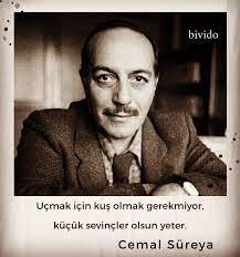 ucmak icin kus olmak gerekmiyor kucuk sevincler olsun yeter cemalsureya sevdasozleri sair siir siirsokakta bi kitap dizileri sevinc kitap