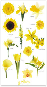 Wedding Flowers By Colourliving Fresh Flower Studio School Blog Living Fresh Flower Studio School Blo Yellow Wedding Flowers Flower Guide Wedding Flowers