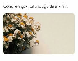 Milena Adli Kullanicinin Alintilar Panosundaki Pin 2020 Ozlu Sozler Edebiyat Duygular