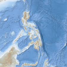 Image result for Eschenbachia