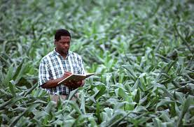 To draw a worm farm marketable strategy it will assist you with growing your business. Farm Business Planning Beginning Farmers