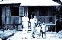 Bidang perencanaan kehutanan dan tata lingkungan meliputi Siapa Felda Pun Memang