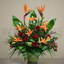 Bird Of Paradise Arrangement Ideas Blessings W Flowers Ottawa Tropical Flower Arrangements Fresh Flowers Arrangements Tropical Floral Arrangements