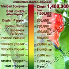 Ghost Chili Pepper Interesting Facts Magic Plant Farms