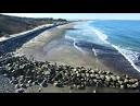 Ar 2 0 drone videos beach <?=substr(md5('https://encrypted-tbn0.gstatic.com/images?q=tbn:ANd9GcSXSbmXOQpO_YcS9Vkbyr1B1MWDLsnC2ul7sHrTRuqikTIWxj5K-D7vNQF5'), 0, 7); ?>