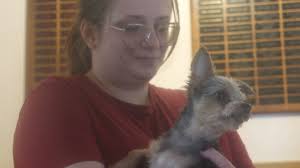 WILL NOT BE IN ON 4/5 Hopefully they will be here by Tuesday Arnie is an 8  month old male Chihuahua mix he weighs 8 lbs. He is good with older children