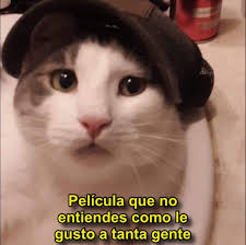 Película que no entiendes como le gusto a tanta gente