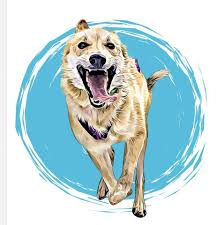 Copper Basin 300 Sled Dog Race