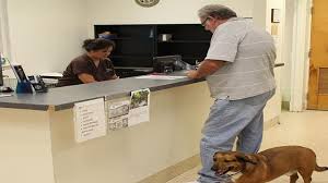 High quality lovable health care for your pets. Veterinarian