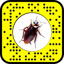 Critical bugs — the most severe and most snapchat quickly confirmed that the discovered token was indeed valid, and spent the next couple of. Pin On Snapchat Lenses Filters