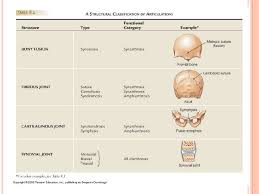 classification of articulations