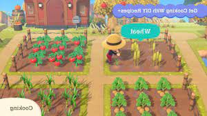 Animal Crossing 2 0 How To Get Wheat Game News 24