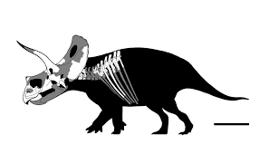 Last Dawn By Getawaytrike Species Dinosaur Skeleton Paleontologist