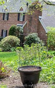 Insert another round of little branches to fill in any holes. Flower Pot Trellis Easy And Cheap To Make But Looks Expensive