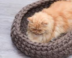 This Item Is Unavailable Etsy Orgu Tig Isleri Kedi