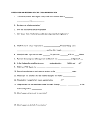 Cells Metabolism And Cellular Respiration