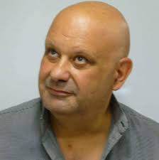 Did you know that you can get BLUE dogs and BLUE wolfdogs. It's not a  colour seen in nature but has appeared when two parents that are black  carry a dilution gene