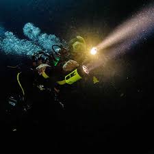 Begin your certification from home by enrolling in padi elearning now. Certifications Access Scuba Scuba Dive Classes St George Ut