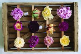 The colors of the roses dipped in the wax may soften a bit after having been dipped into the hot wax but are still quite beautiful, and the memories preserved priceless. Save Summer By Preserving Flowers The Seattle Times