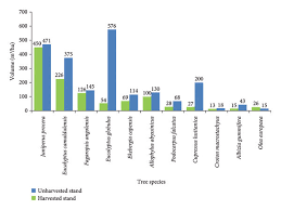 Image result for Scolopia stolzii
