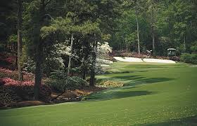 We did not find results for: Augusta National Hole 13 Scene Of Heroics And Disasters Year After Year Golf Courses Public Golf Courses Golf