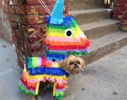 Dogs Diy Dog Pinata Costume Really Awesome Costumes Diy Dog Stuff Diy Dog Costumes Dog Costumes