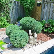 Pom poms make me happy. Reshape A Pom Pom Topiary How To Prune Birdz Of A Feather