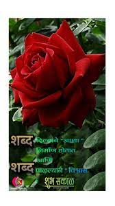 Pin By Kiran Chopde On Marathi Good Morning Quotes Good Morning Quotes Morning Quotes Flowers