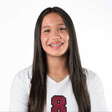 Michigan Volleyball Academy