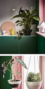 That's why the fournitures manufacturer is ready to sell products enabling handymen who have green fingers could get seeds, planters and all what they need to grow planters indoor. Houseplants A Basic Guide To Growing Ikea