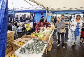 Image result for downtown hilo