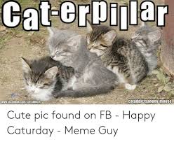 Maybe you would like to learn more about one of these? 25 Best Memes About Caturday Meme Caturday Memes