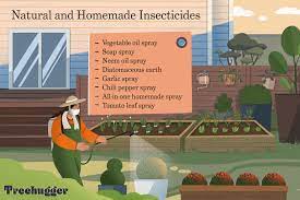 Here's how to undertake pocket gopher control for underground pests. 8 Natural Homemade Insecticides Save Your Garden Without Killing The Earth