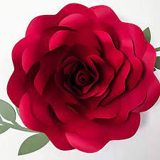 Grab the coffee filter paper and other materials and my free template. Amazon Com 3d Giant Paper Flower Rose Petal 39 Template Diy Paper Flower Stencil Large Flower Pattern Complete Flower Template Kit Everything Else