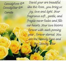 Thecassidyrose C Poem By Camellia Love And Light You Are Beautiful Poems
