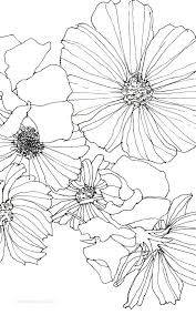 Black And White Floral Patterns To Draw Part Of A Pen Drawing Of Cosmos And Sweet Peas Drawn With A 25 Rotring Pen On Smooth Cartridge Paper Floral Drawing Flower Drawing Flower Sketches