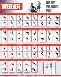 Gym Workout Chart With Images Pdf Kayaworkout Co