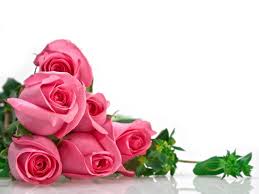 Hd Quality Rose Images Rose Wallpapers Hd Base 1920 1200 Wallpaper Of Rose 39 Wallpapers Adorable Rose Flower Wallpaper Pink Rose Bouquet Flower Wallpaper