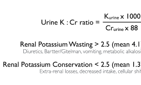 Image result for Transtubular Potassium Gradient