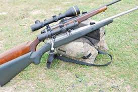 Deer Rifles Part 1 Deer Stalking Gun Mart