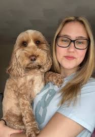 Noodles the Dog: A Fun Lip Sync with Cockapoos