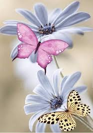 Pin On Flores
