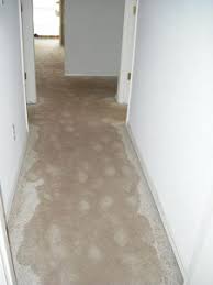 I run into a lot of different water damage situations to use to. How To Deal With Water Damaged Carpet Aaa Rousse Junk Removal