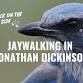 Jaywalking in the Wild: Meet the Florida Scrub Jay event image