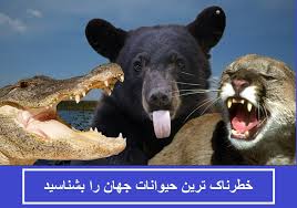 مکانهای گردشگری خطرناک در دنیا مکانهای بسیار خطرناک در جهان باغ سمی در انگلیس،مکانهای مرموز و خطرناک, جزیره مارها در برزیل,جزیره رامره در کشور برمه, جاده یونگاس در بولیوی,آتشفشان های گلی در جمهوری آذربایجان,عجایب. 10 ØªØ§ Ø§Ø² Ø®Ø·Ø±Ù†Ø§Ú© ØªØ±ÛŒÙ† Ø­ÛŒÙˆØ§Ù†Ø§Øª Ø¬Ù‡Ø§Ù† Ø±Ø§ Ø¨Ø´Ù†Ø§Ø³ÛŒØ¯