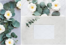 Eucalyptus Floral Mockup Bundle Gorgeous Calligraphy Floral Image Floral