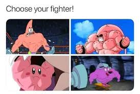 Fighter fighting style height weight; Choose Your Fighter Meme Ahseeit