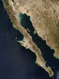 • bahía de los ángeles (baja california, mexico). Niederkalifornien Wikipedia